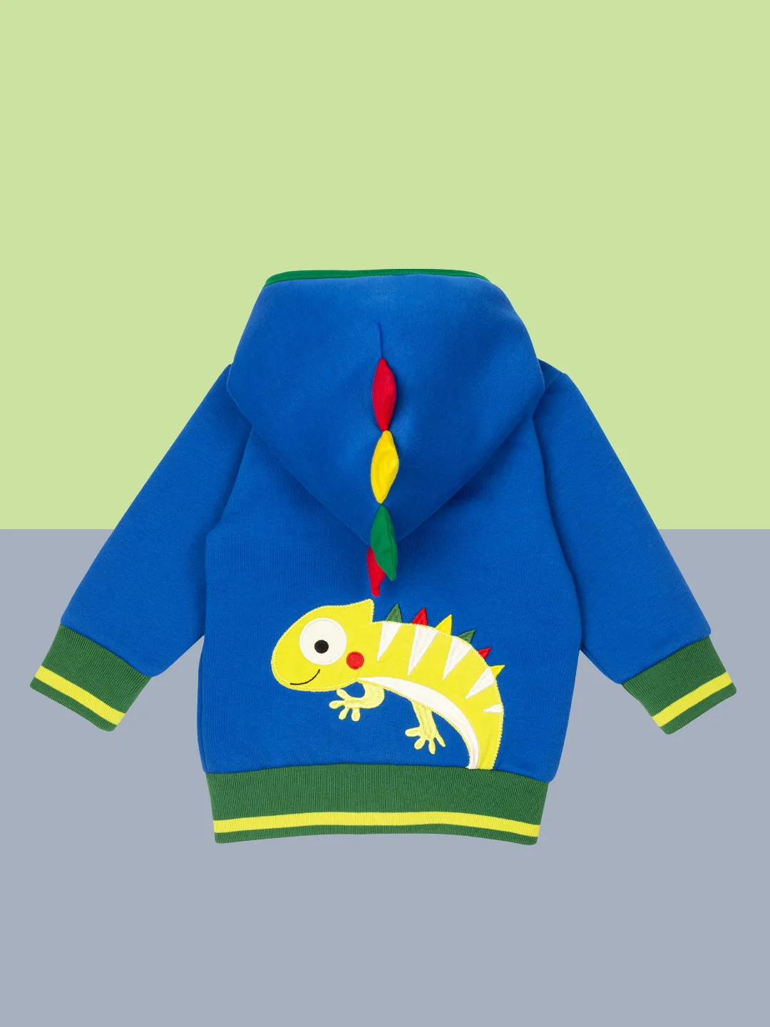 Chameleon Hoodie