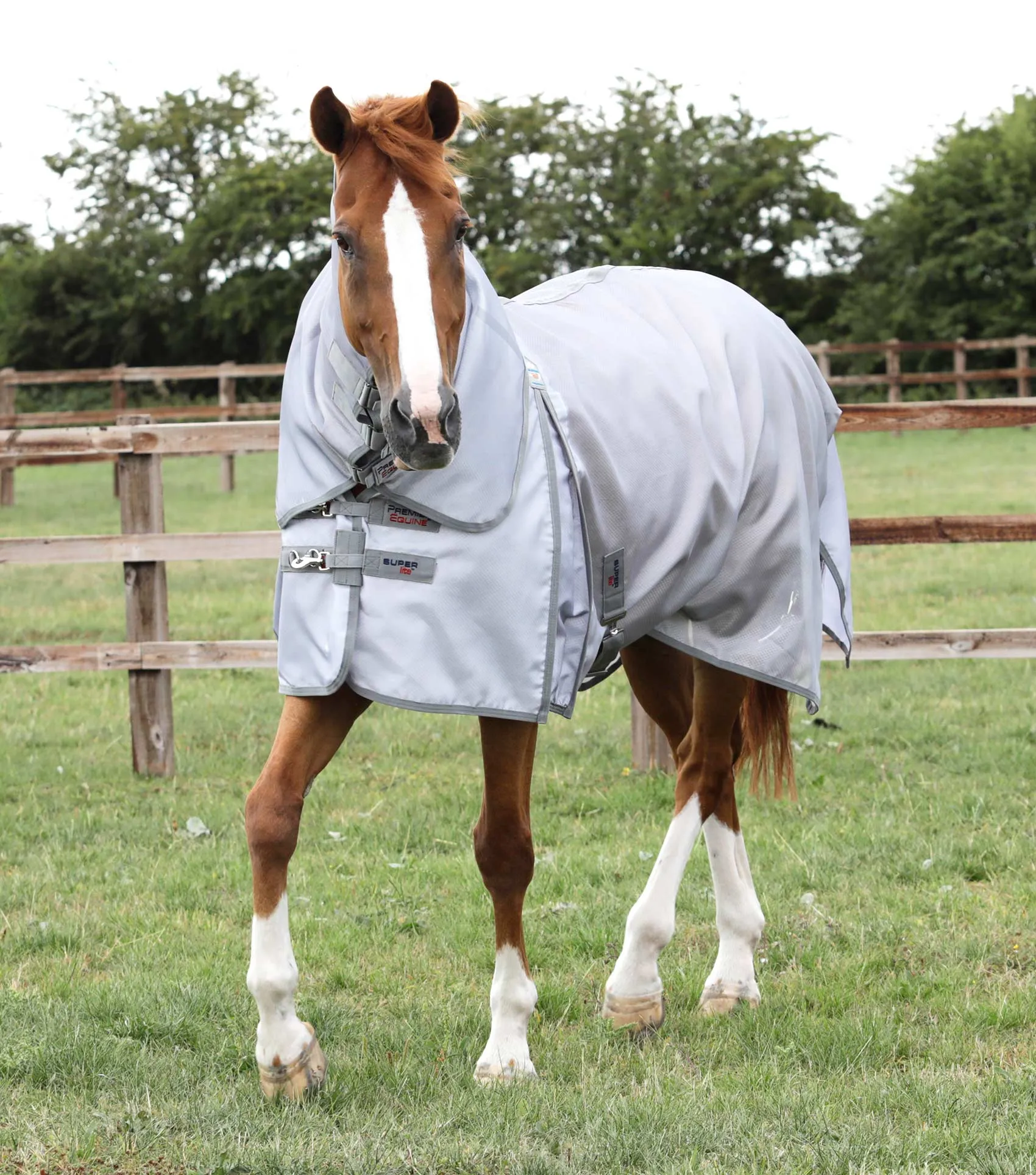 Premier Equine Super Lite Fly Rug with Surcingles